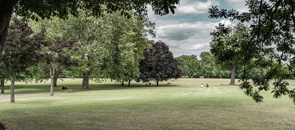 The image shows a wide view of a park area with a large, open grassy space bordered by a variety of mature trees with green and dark purple foliage. Several individuals are sitting on benches and the grass, some engaged in relaxing or reading, while others are walking or chatting. The sky above is partly cloudy with patches of blue visible through the cloud cover. In the foreground, leafy branches frame the scene from above. This outdoor environment provides a calm setting suitable for leisure activities. At the bottom of the image, a paved pathway emerges from the trees, suggesting access routes within the park. The scene depicts a peaceful public space, ideal for activities related to home relocation preparations or outdoor leisure before or after moving day, aligning with services offered by Colliers Wood Man and Van in the context of house removals and furniture transport.