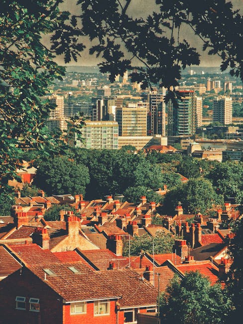 A view over a residential area with rows of red-tiled rooftops and brick chimneys, set beneath a canopy of tree branches and leaves in the foreground. Beyond the houses, a line of lush green trees separates the area from a modern urban skyline featuring tall office buildings and high-rise apartments in the distance. The scene appears to be taken during daylight hours, with natural lighting illuminating the rooftops and foliage. This image, associated with house removals and relocation services, illustrates the typical environment for local home moves, highlighting the contrast between residential streets and the cityscape, and reflecting the scale of moving logistics involved in furniture transport and home relocation processes.